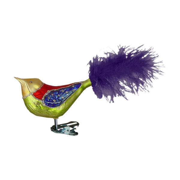 Green, Red, Orange and Blue Bird White F