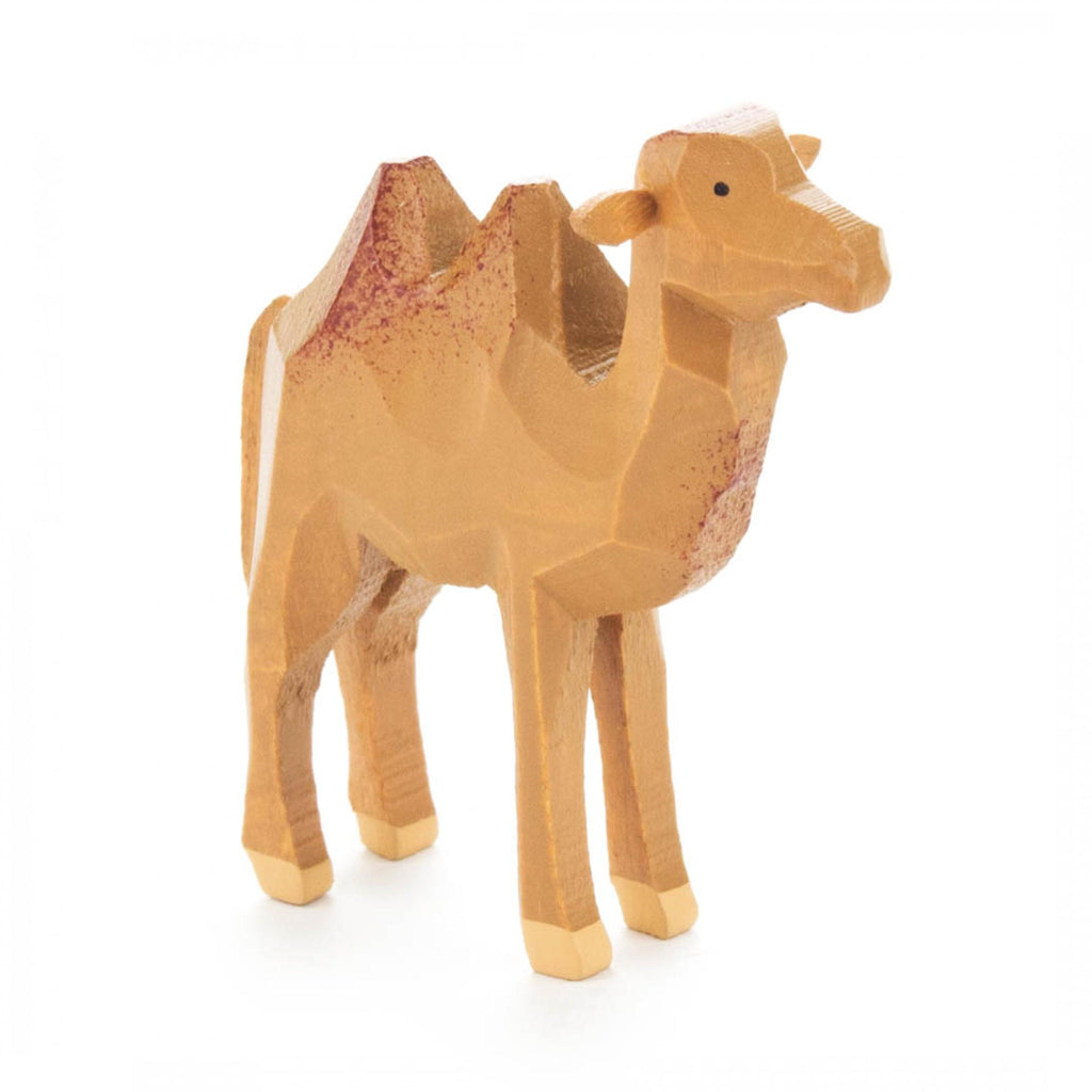 Camel