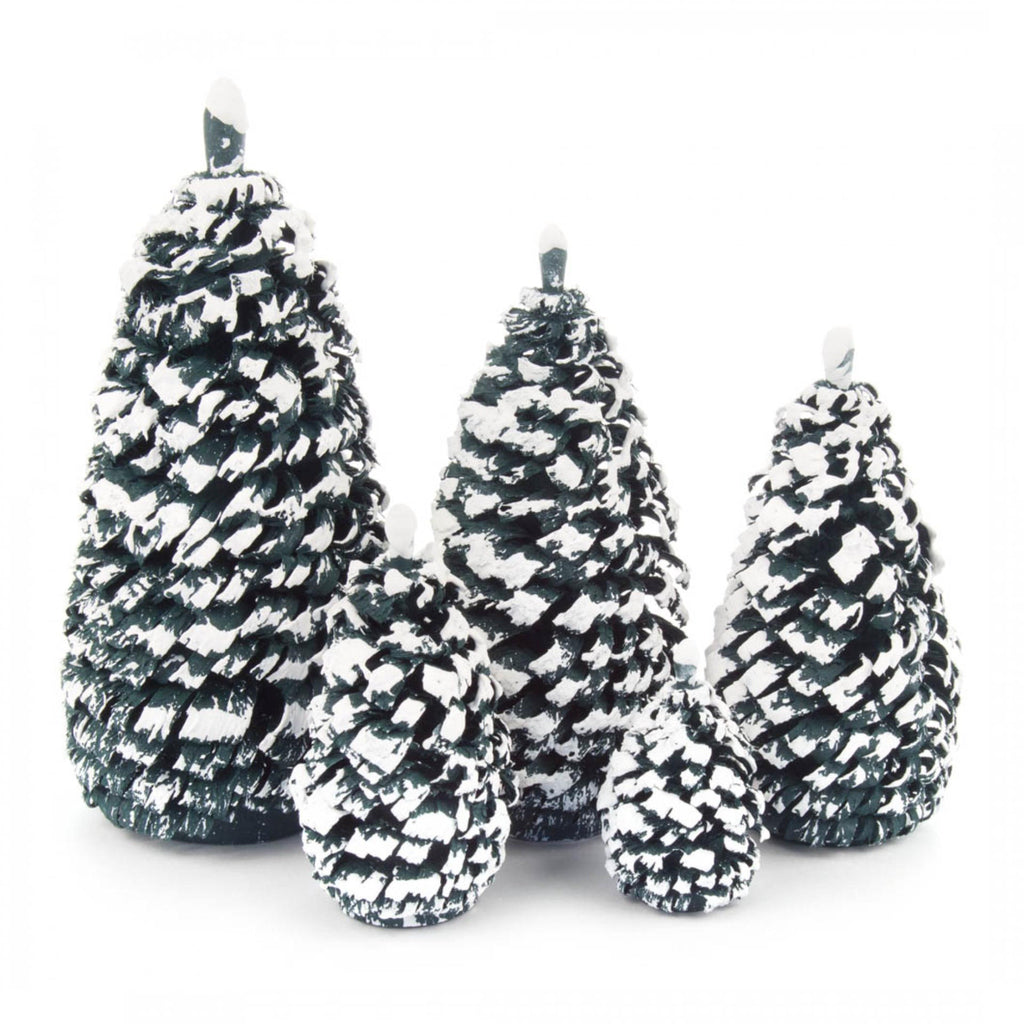 Green and White Spruce Trees 4, 6, 8, 10